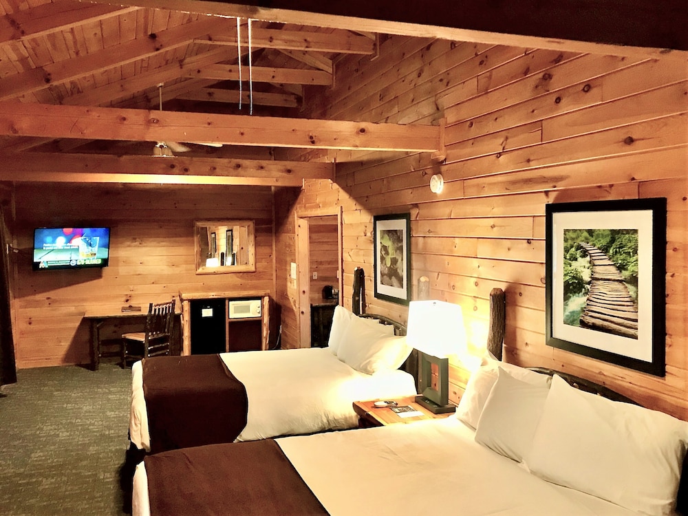 Double Room, Multiple Beds, Fireplace, Mountain View photo 2
