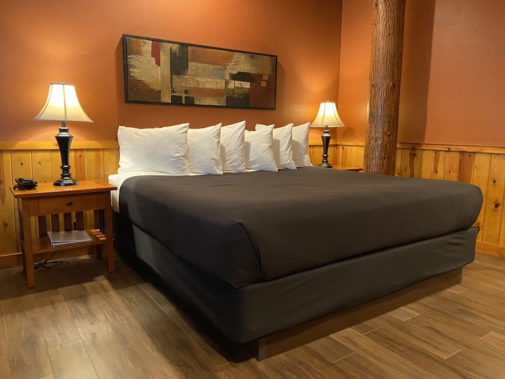 Room, 1 King Bed photo 1