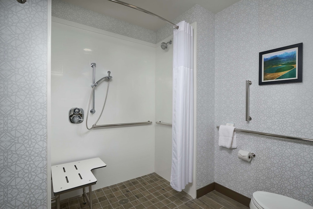 Room, 1 King Bed, Accessible (Roll-In Shower)