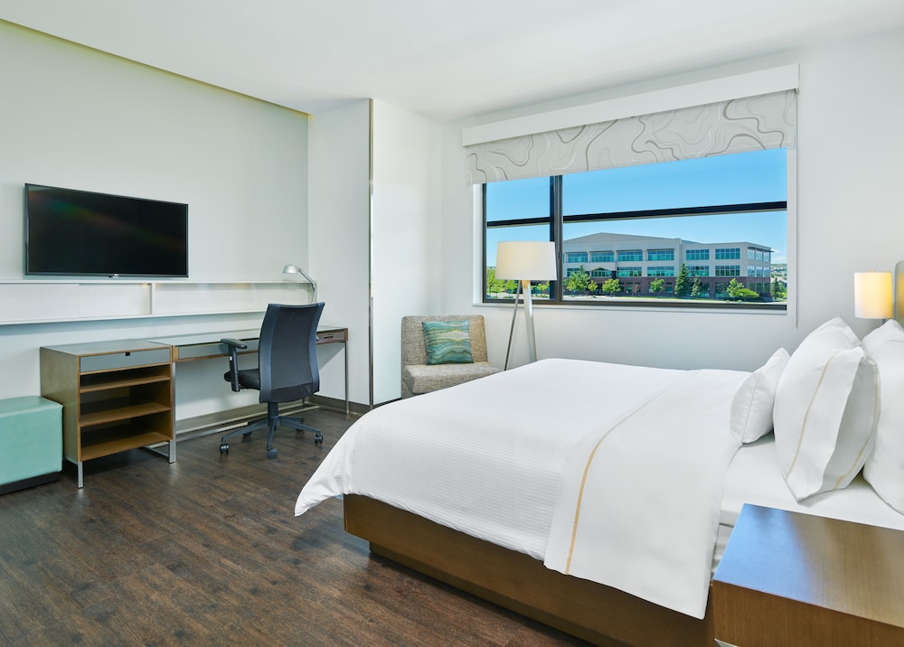 Executive Suite, 1 King Bed with Sofa bed, Mountain View photo 2