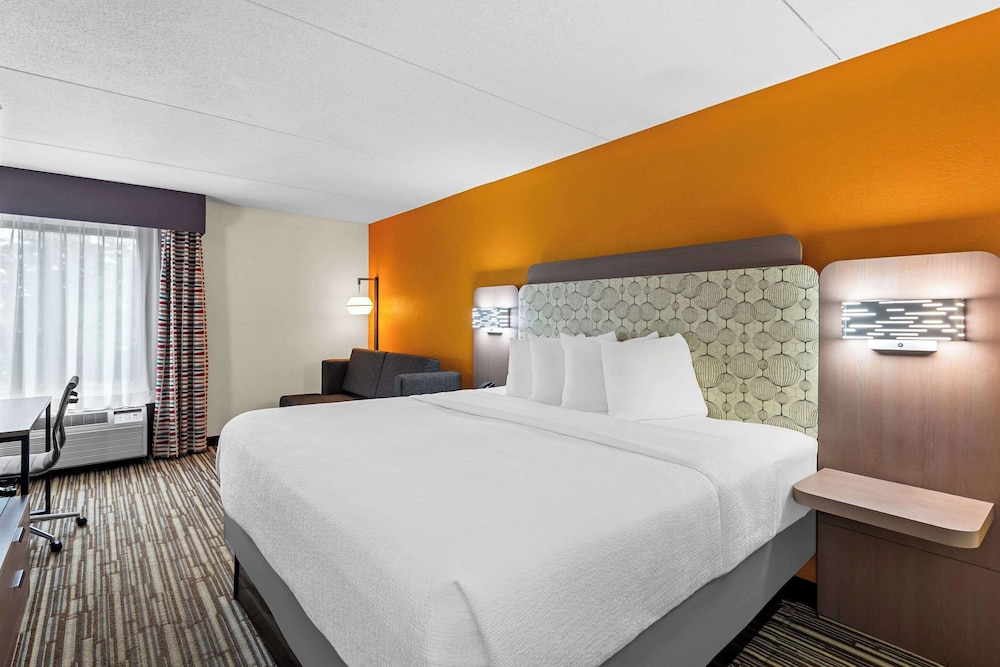 Standard Room, 1 King Bed with Sofa bed, Non Smoking photo 1