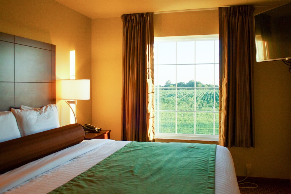 Suite, 1 King Bed with Sofa Bed, Accessible Roll in Shower, Non Smoking photo 3