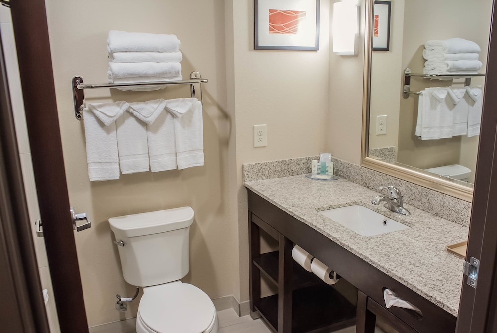Comfort Inn & Suites Artesia, Foto 3