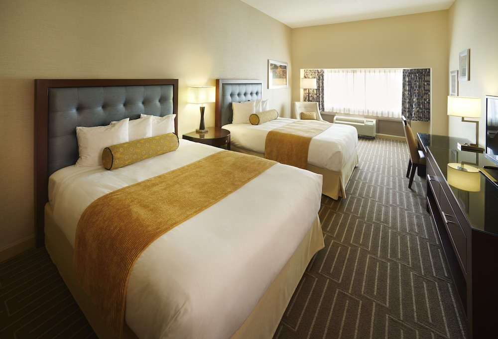 Hotel, 2 Queen Beds