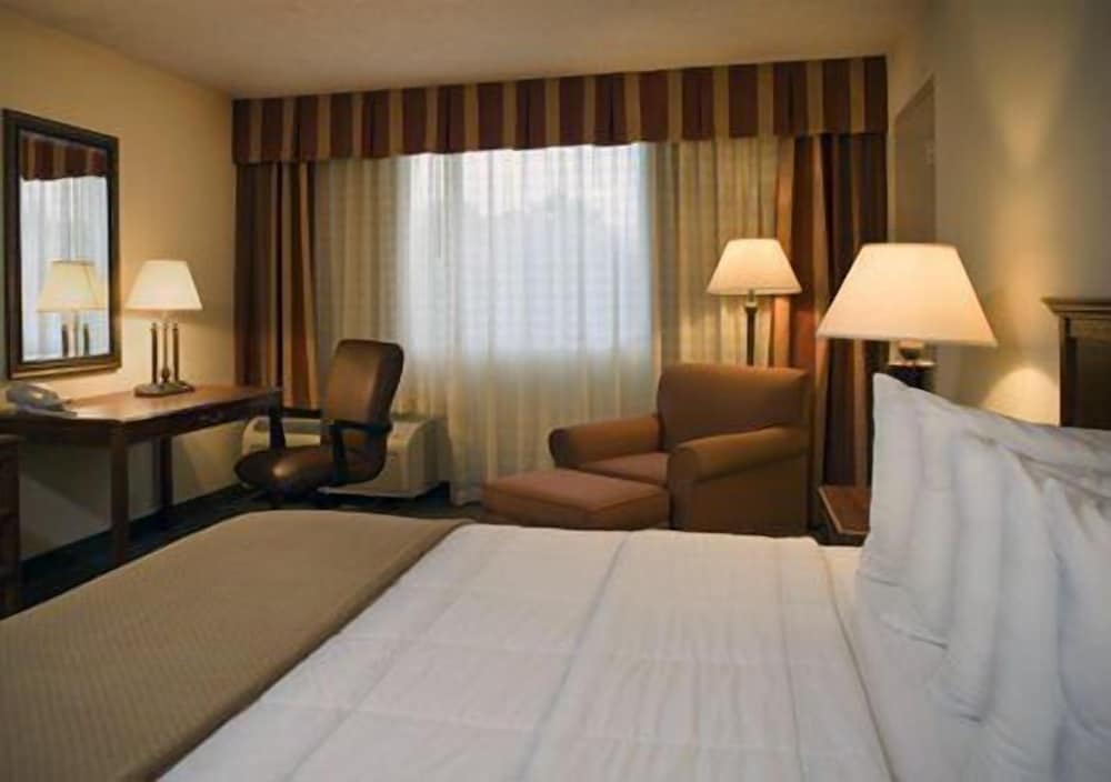 Standard Single Room, 1 King Bed, Non Smoking, Bathtub photo 2