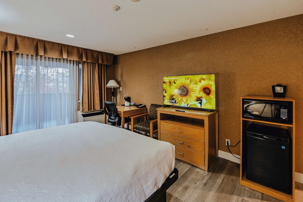 Suite, 1 King Bed, Non Smoking, Balcony - Photo 7