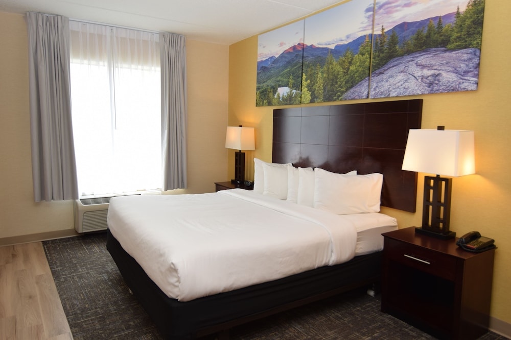 Standard Single Room, 1 King Bed with Sofa bed, Roll-in Shower