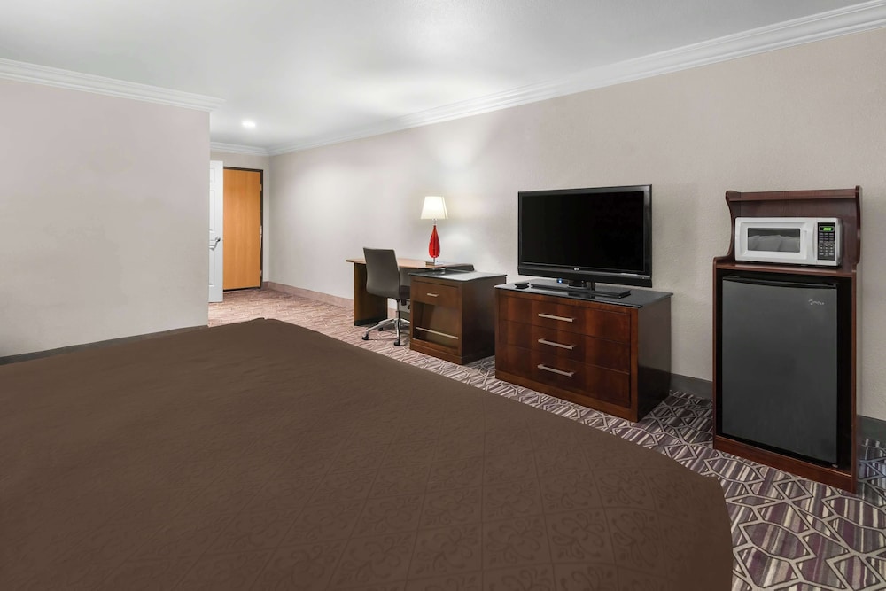 Standard Room, 1 King Bed, Accessible, Refrigerator & Microwave (with Sofabed) photo 2