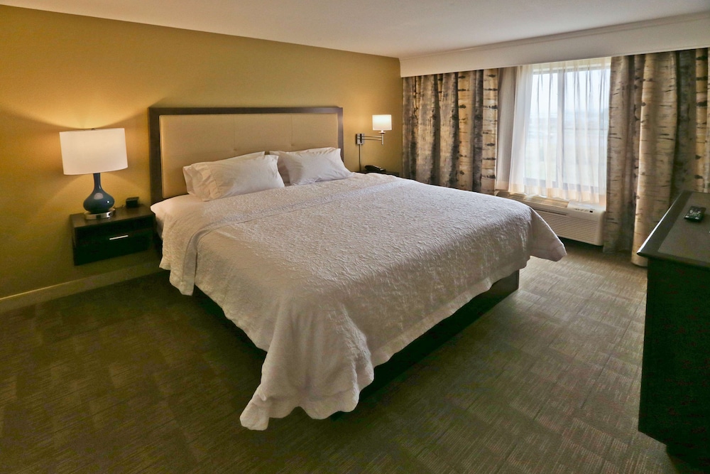 Suite, 1 King Bed, Refrigerator & Microwave (Shower) - Photo 2