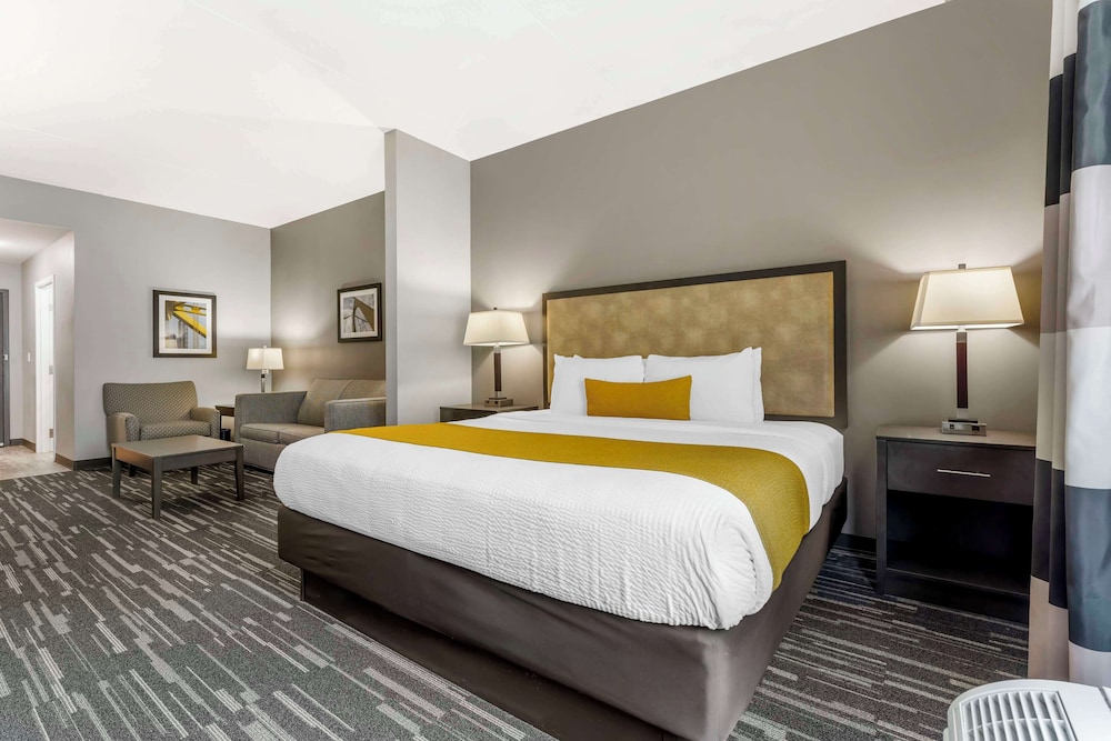 Suite, 1 King Bed, Non Smoking, Refrigerator & Microwave (Shower Only)