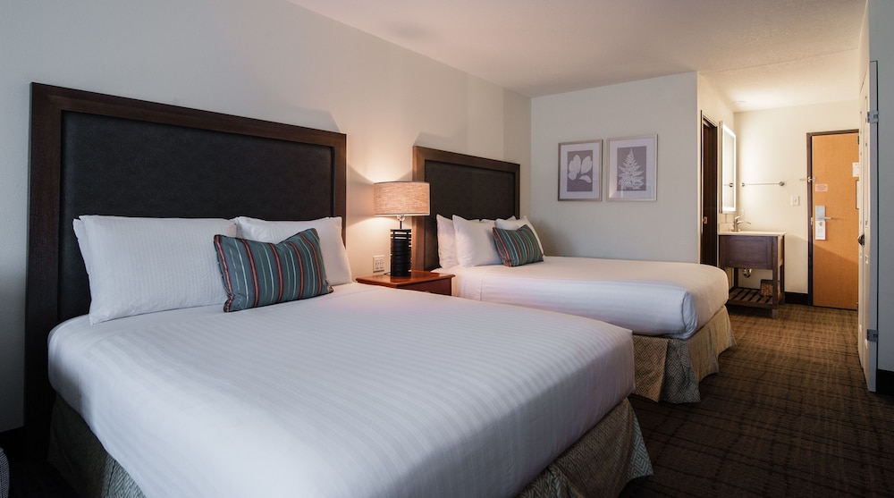 Standard Room, 2 Queen Beds, Non Smoking, Refrigerator - Photo 2