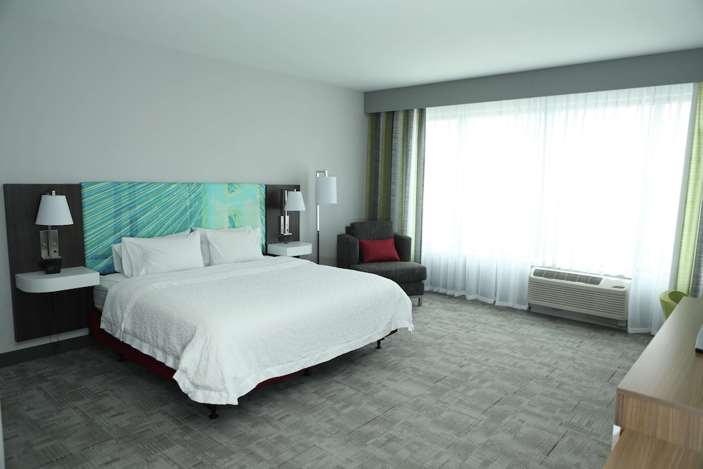 Room, 1 King Bed, Accessible (Roll-In Shower)