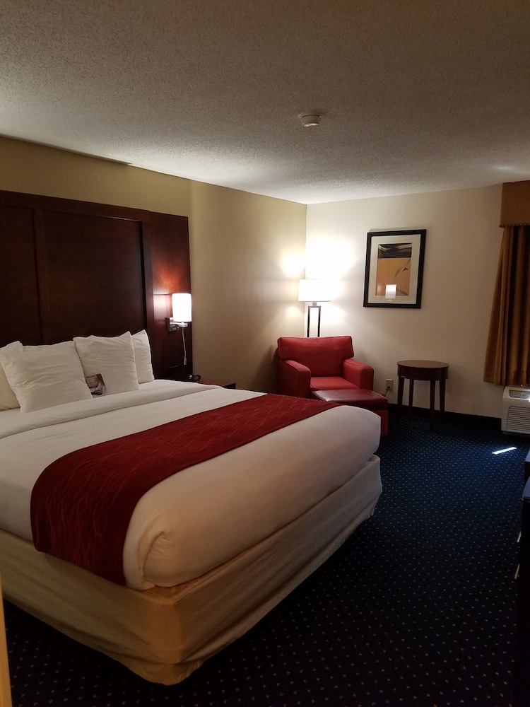 Standard Room, 1 King Bed, Non Smoking - Photo 2