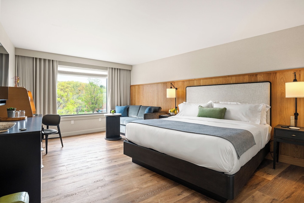 Deluxe Room, 1 King Bed, City View (Deluxe King) photo 1