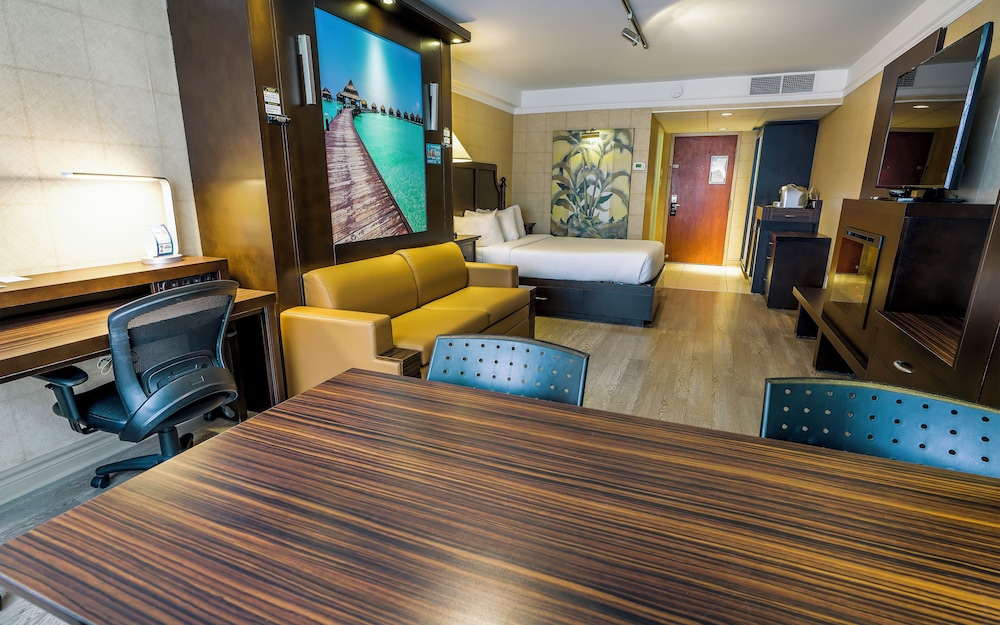 Studio 1 Queen bed and 2 Queen murphy beds (one room)