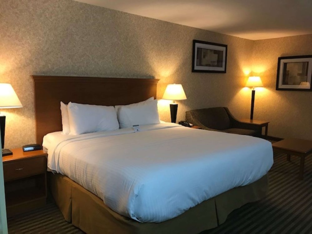 Standard Room, 1 King Bed, Accessible, Non Smoking photo 3