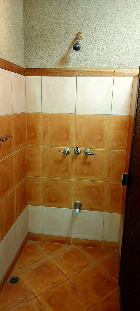 Luxury Studio Suite photo 2
