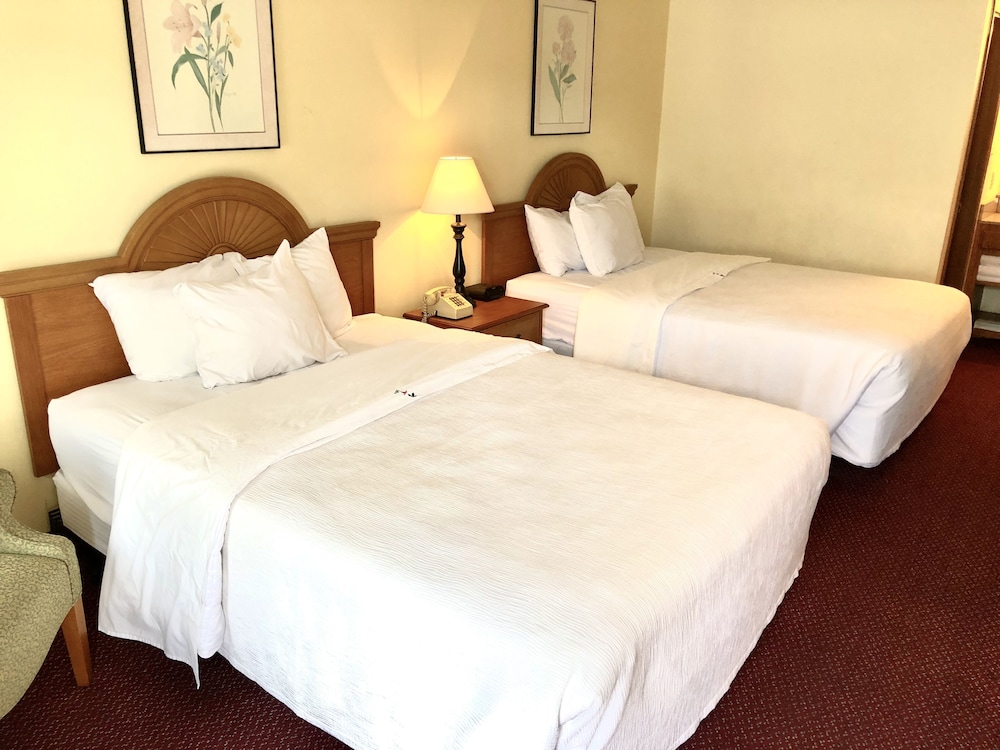 Budget Queens, 2 Queen Beds, Non Smoking photo 1