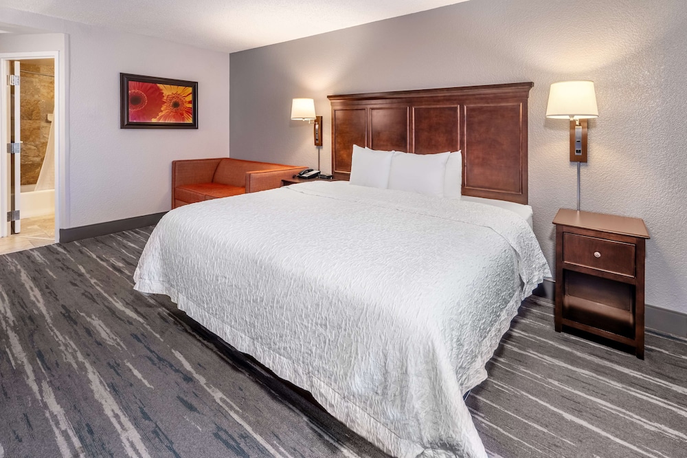 ADA Accessible, Room, 1 Queen Bed, Accessible (Roll-In Shower)