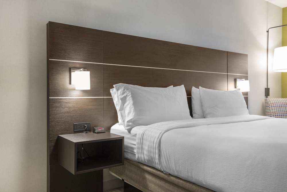 Standard Room, 1 King Bed, Roll-in Shower (Communications Accessible) - Photo 4