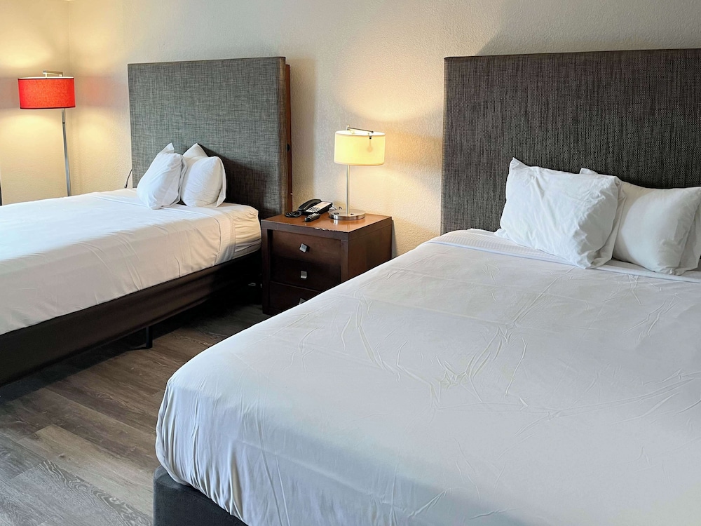 Deluxe Room, 2 Queen Beds, Non Smoking, Refrigerator & Microwave photo 2