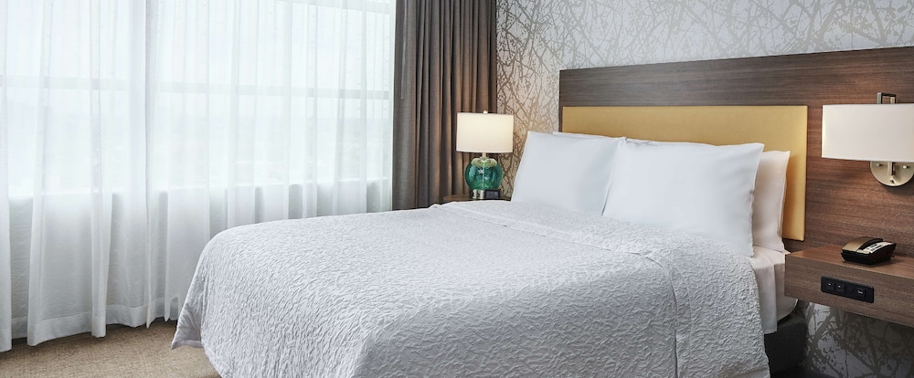 Studio, 1 Queen Bed, Accessible (Roll-in Shower) photo 2