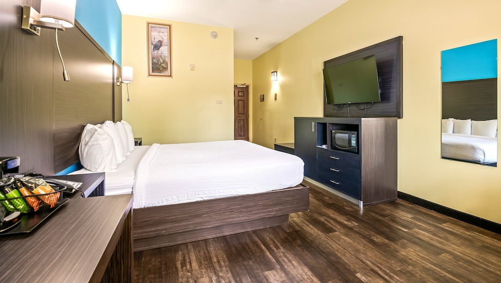 Room, 1 King Bed, Non Smoking, Refrigerator & Microwave - Photo 3