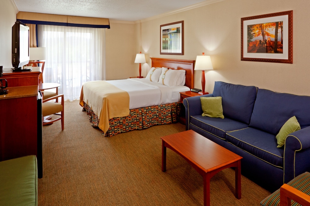 Premium Room, 1 King Bed with Sofa bed, Pool View - Photo 2