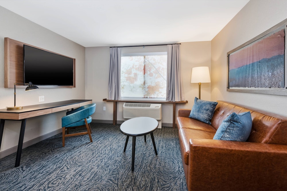 Studio Suite, Multiple Beds - Photo 4