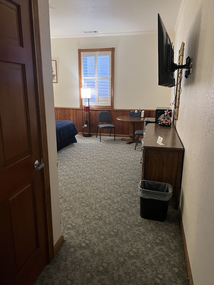 Comfort Single Room photo 3