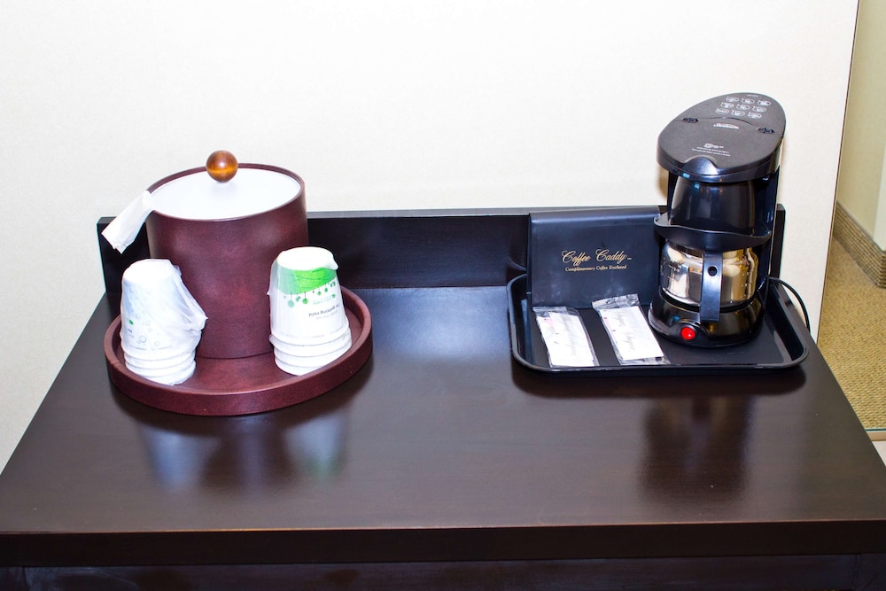 Room, 1 King Bed, Accessible (Mobility & Hearing, Roll-In Shower)