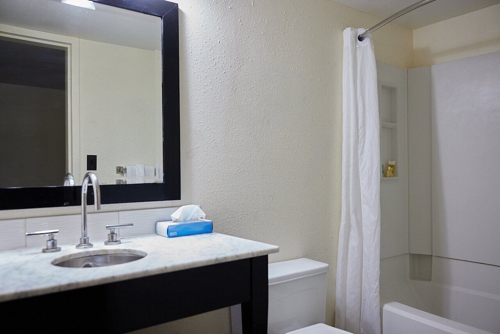 Comfort Double or Twin Room photo 2