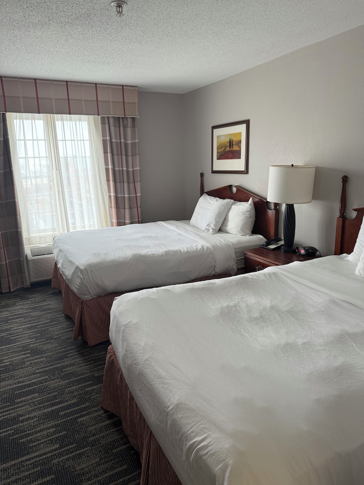 Suite, 1 Bedroom, Non Smoking photo 2