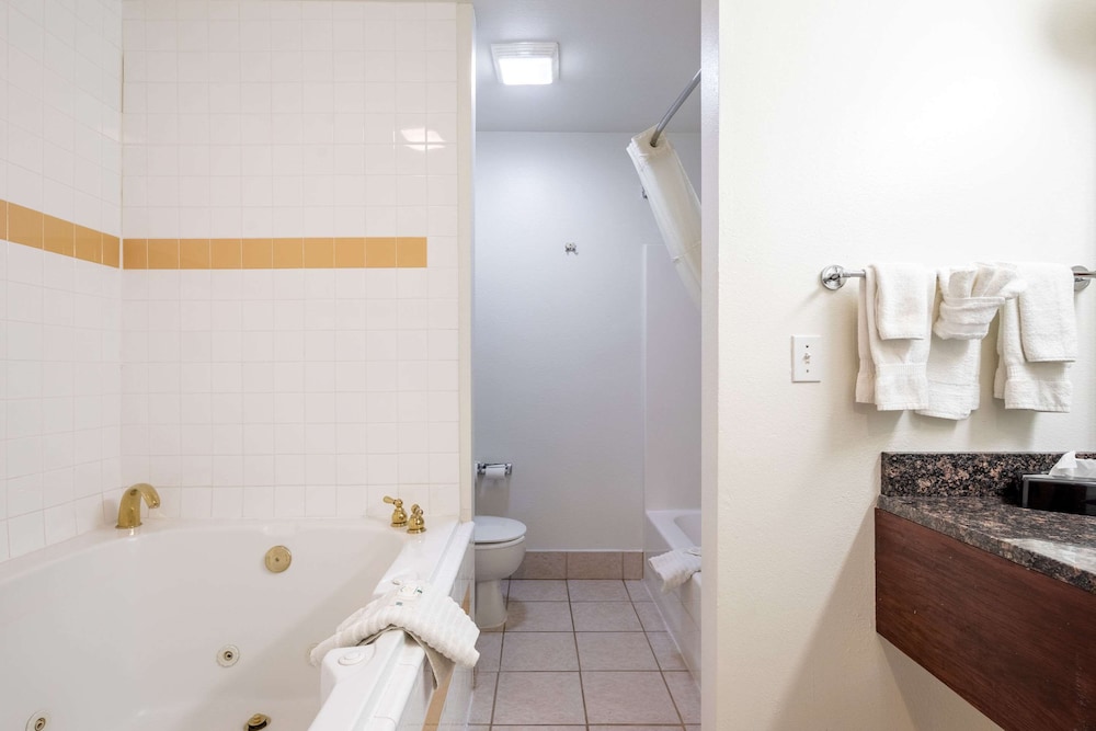 Suite, Multiple Beds, Non Smoking (Efficiency, Upgrade) - Photo 7