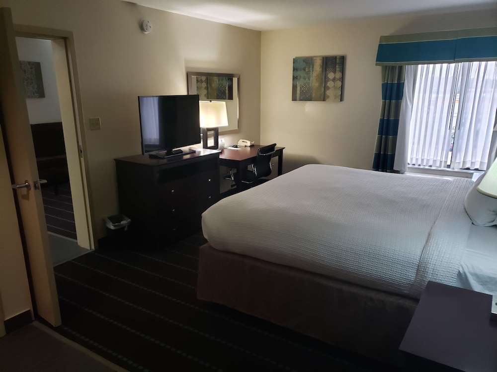 Executive Suite, 1 King Bed, Non Smoking, Refrigerator & Microwave - Photo 5
