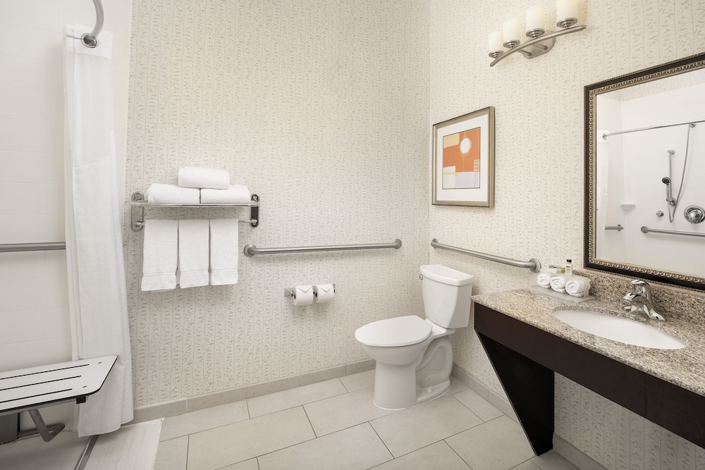 Standard Room, 1 King Bed, Accessible (Mobility, Roll-In Shower) - Photo 3