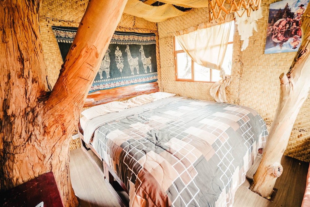 Tree House photo 1