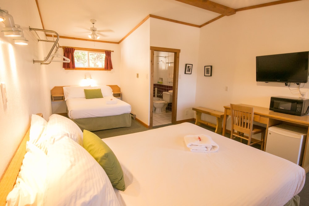 Standard Double Room, Multiple Beds