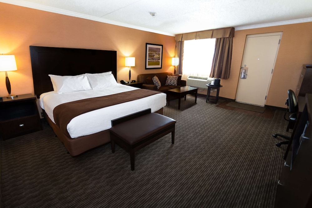 Suite, 1 King Bed, Non Smoking, Refrigerator & Microwave (Larger Room;with Sofabed)