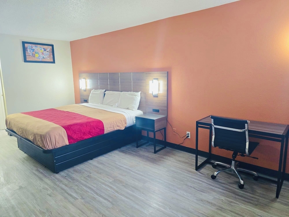 Single Room photo 2