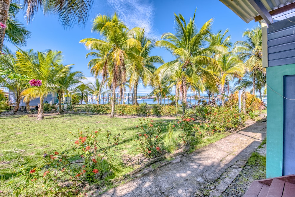 Coconut Room photo 2