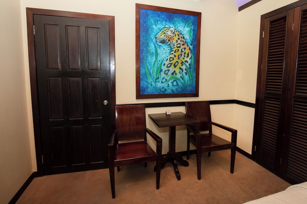 Jaguar - with Kitchenette