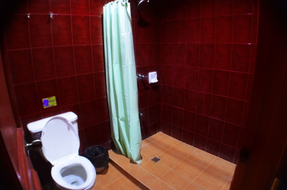 Jacuzzi Suite - Photo 5