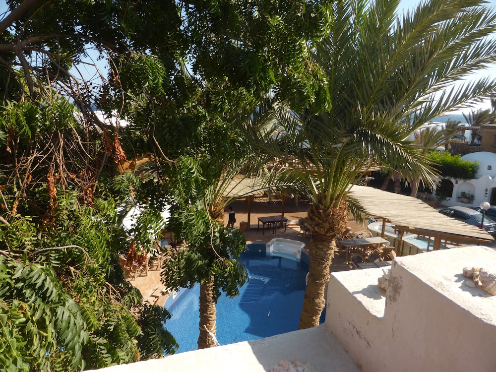 Double Room, Shared Bathroom, Ocean View (Fancy Backpacker) photo 1