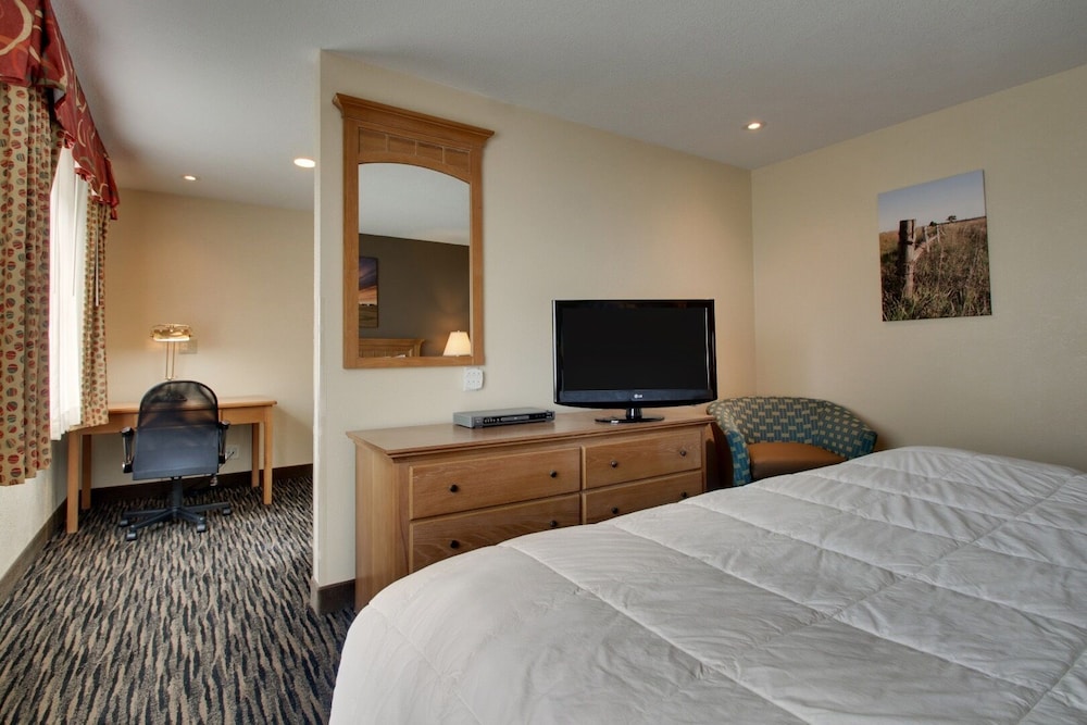 Suite, 1 King Bed photo 2