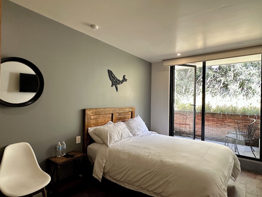 Elite Room, 1 Queen Bed photo 1