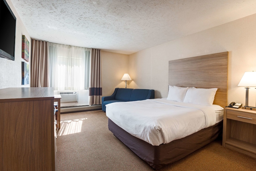 Standard Room, 1 King Bed with Sofa bed, Non Smoking photo 2