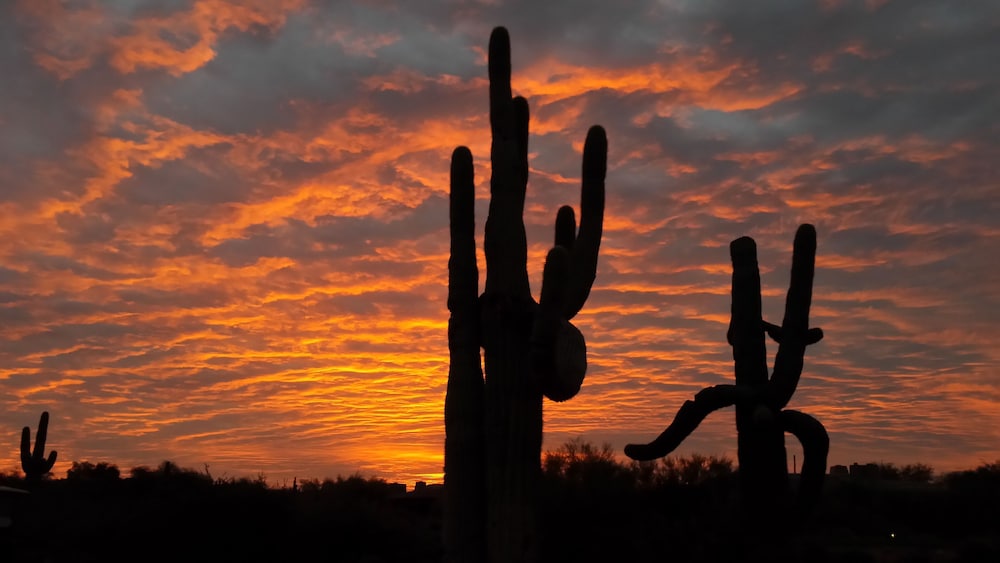 Sonoran View Casita - Photo 8