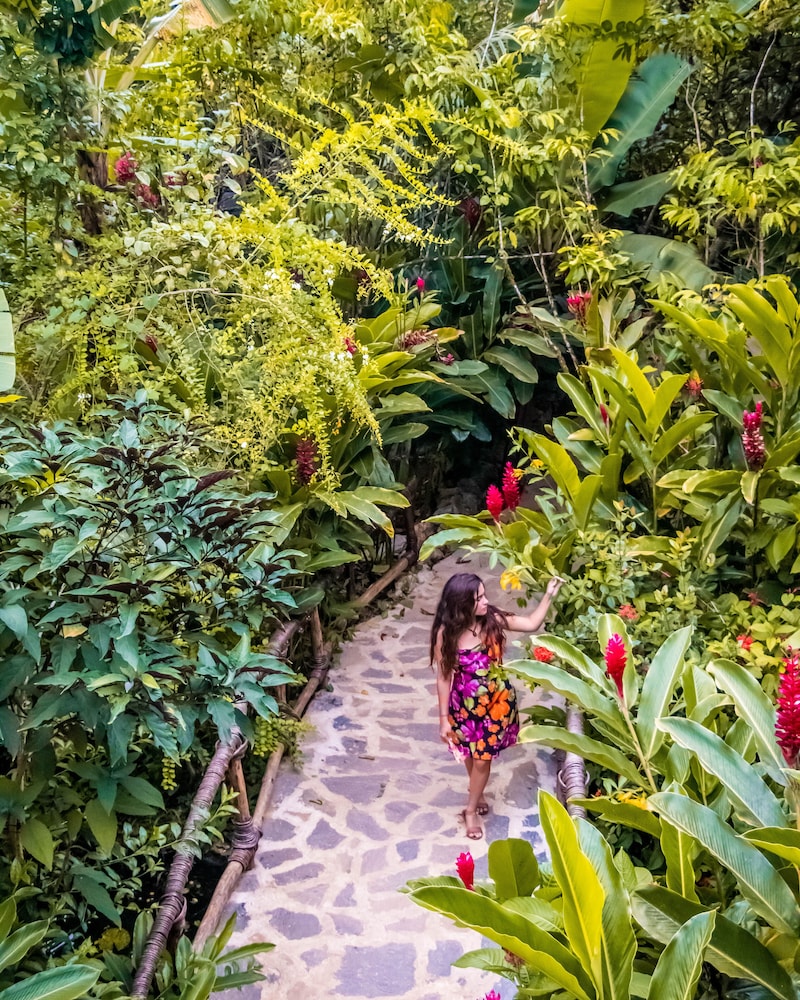 Premium Tree House, Garden View