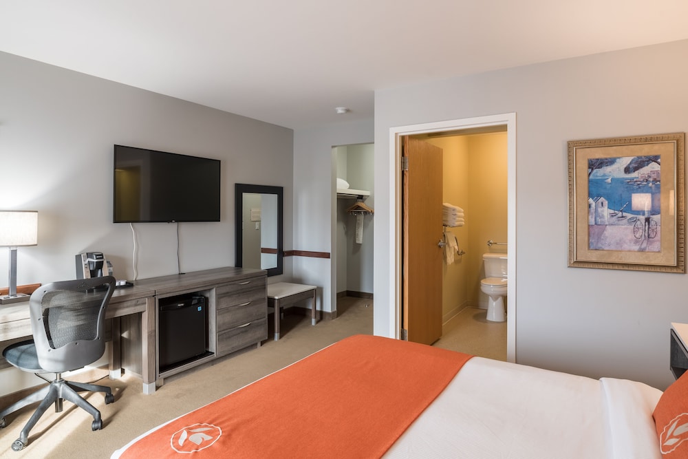 Room, 1 King Bed - Photo 1